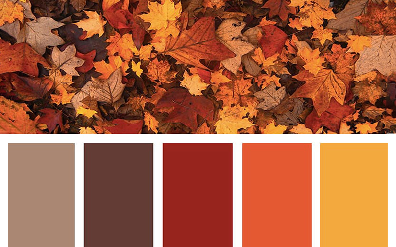 رنگ لباس ها،استایل پاییزی